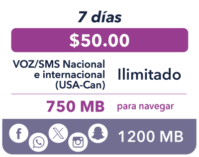 PlanYobi-7dias-2