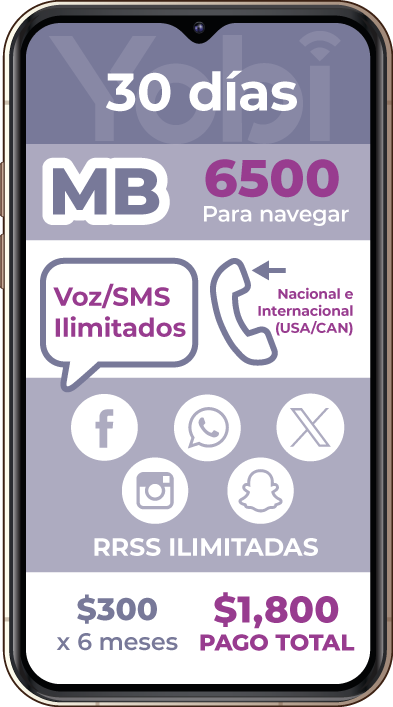 Plan-6B